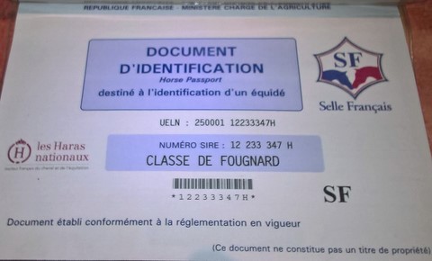 passeport Classe De Fougnard